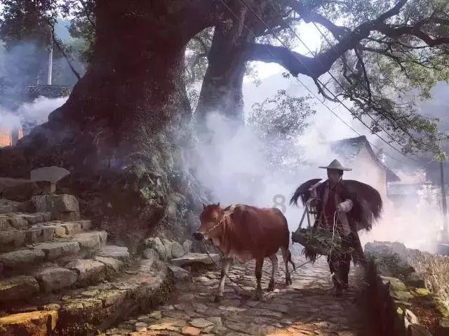 神秘老宅找不同